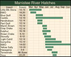Manistee Hatch Chart Fly Fishing Michigan Salmon Flies