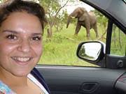 Golden Fox by Wilbur Smith