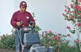 Lawn.com.au lets you organise a lawn care provider based on the services you need and your location. Lawn Services Lawn Mowing Austin Tx Abc Home Commercial Services
