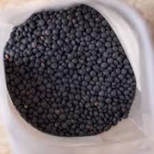 Recette pour faire des lentilles. Graines De Lentilles Noires Beluga