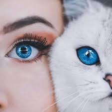 Explora los mas bonitos fondos en super alta resolución para tu smartphone, puedes descargarlos gratis y en el formato que quieras. Gatitos Tiernos Los Mejores Fondos De Pantalla Facebook