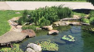 Expert advice and great price. Stunning Signature Pond At Aquascape Youtube