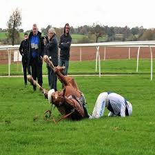 "He Will Be Out": Equestrian Jockey's Heartbreaking Fall Shakes Recent  Horse Racing Event