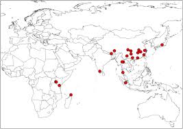Image result for Impatiens purpureoviolacea