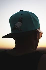Staple Pigeon Snapback Hat Soletopia Hats For Men Snapback Hats Hats