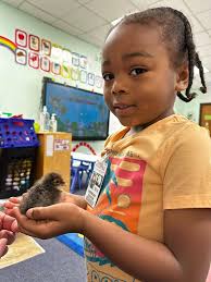 Rosepine Elementary School‎