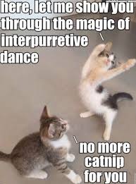 Super Funny Cat Memes 70 Pics Funny Cat Memes Memes Funny Cat Cat Memes Funny Cat Bongo Cat Memes Bong Funny Cat Memes Funny Animal Jokes Funny Animal Quotes