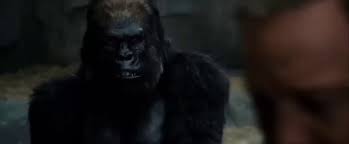 @ThurberAllen's video Tweet