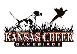 Bird Dog Upland Gamebird Ranch Bird Dogs Custom Logo Design Logo Design