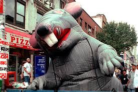 Often this has little effect, but in some cases, rats go too far. The Largest Rat Of All Time Discovered Csmonitor Com
