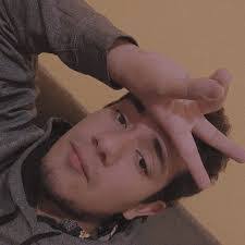 Daniel Gress's Instagram, Twitter & Facebook