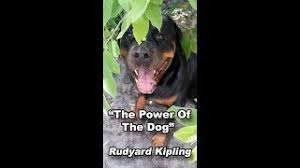 (only for those who understand the power of words). The Power Of The Dog A Poem By Rudyard Kipling Read By John J Wiley Youtube