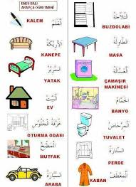 Apdo Ahraf Adli Kullanicinin Arapca Panosundaki Pin Evde Egitim Ogrenme Arapca Dili