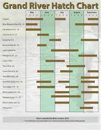 The Elliot Lake Flyfishing Blog Yearly Hatch Chart Repost