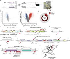 Beide besetzen einen lehrstuhl für virologie und leiten das entsprechende institut an einer großen deutschen universität. Growth Factor Receptor Signaling Inhibition Prevents Sars Cov 2 Replication Biorxiv