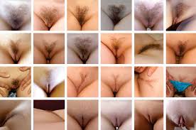 Vagina Pubic Hair Styles - 59 photos