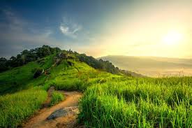 There are three 'peaks' on bukit broga. Get A Full Private Tour Of Eco Forest S Show Village At Their Open Day This Weekend