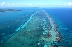 Belize barrier reef is a very large coral reef located off the coast of central america's country of belize, and the reef notably contains the largest blue hole known on earth, the great blue hole. Belize Barrier Reef Map Facts Description Britannica