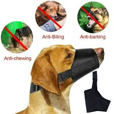 Check spelling or type a new query. Baoblaze Hund Maulkorb Beisskorb Hundemaulkorb Aus Silikon Fur Kleine Mittere Und Grosse Hunde Geschirre Halsbander Leinen Com Haustier