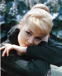 Photograph by Sandra Cassady.