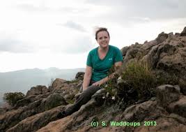 Image result for Jumellea usambarensis