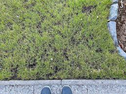 Image result for site:byggahus.se Algomin