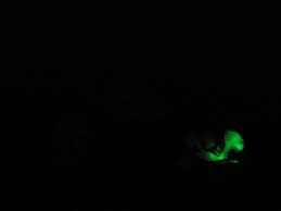 The glassware won't actually be glowing. It S What Uranium Glass The Tingle Factor Box