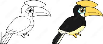 Burung enggang, rangkong, julang dan kangkareng tergolong dalam familia bucerotidae. 7w71wb5fyi1lxm