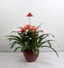 Light pass strict quality standard. Venso Led Grow Light Sunlite 24 V Built In Led 7 W Cool White 1 Pc S Conrad Com