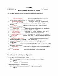 Author janice friedmanposted on april 8, 2019categories cells, resources. Cell Membrane Coloring Worksheet Osmosis And Tonicity Shefalitayal