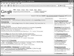 Section 3 1 Search Basics Iphone The Missing Manual 4th Edition Follow these simple steps to find royalty free images using the google images advanced search. flylib com