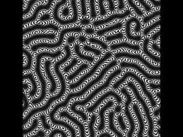 Bildergebnis für Turing pattern