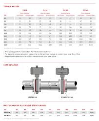 Bray Eu European Regulation Double Offset Butterfly Valve