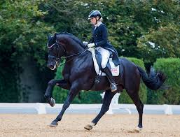 Nun ist das „aschenbrödel aus dem beliebten märchenfilm. Simone Pearce Destano Set Another Aussie Record Score In Winning Brno Cdi3 Grand Prix Special Dressage News