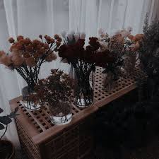 Pin On Aesthetically Pleasing