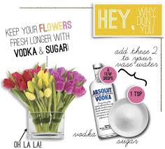 The freshness of your bouquet depends on a lot of things, such as the types of why should you learn how to keep flowers fresh? Keep You Flowers Fresh Longer With Vodka Sugar Musely