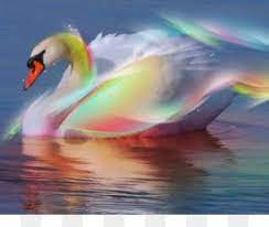 Sketsa gambar ikan hias dan konsumsi lengkap (nemo, hiu, paus, lele, koi, mas, lumba dll). Gambar Angsa Kolase Angsa Liar Unduh Gratis Angsa Liar Di Coole Black Swan Download Kolase Tema Hewan Bebek La Swan Pictures Swan Wallpaper Colorful Swan