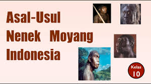 Asal Usul Nenek Moyang Indonesia 101 Portal Education News
