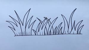 Apr 22, 2021 · when drawing the eye, don't just practice drawing it once. How To Draw Grass Step By Step Youtube