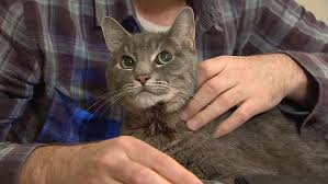 Read customer reviews about customer service this profile has not been claimed by the company. Pet Medicine Much Cheaper From Pharmacies And Wholesalers Cbc News