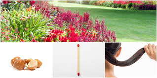 Best fertilizers for flowering plants uk. 10 Surprising Household Items That Can Help Plants Grow 10 Great Gardening Hacks