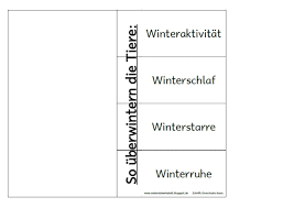 Ihr zuhause ist ihr schloss, ansonsten mit etwas. In Den Letzten Tagen Habe Ich Materialien Fur Ein Winter Lapbook Erstell T Und Nach Und Nach Hier Veroffentlicht Es Ist Sowo Schule Forderschule Schulideen