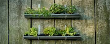 Weitere ideen zu garten, vertikaler garten, pflanzen. Diy Anleitung Einen Vertikalen Garten Aus Einer Alten Regenrinne Bauen