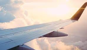 Metal detectors detect iron, nickel, copper, brass, aluminum, tin, lead, gold, silver and bronze. Air Travel With A Metal Detector Finding Metals