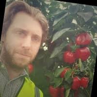 ABBEY VIEW PRODUCE LIMITED Information