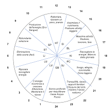 pin su punti di meridiani
