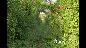 Acesta leagă localităţile obreja şi glimboca. Tunelul Iubirii Din CaraÈ™ Severin S A DÄƒramat E Pe Lista Comorilor Ascunse Libertatea