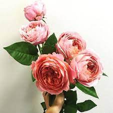 Romantic Antike Garden Rose Flower Care Diy Bridal Bouquet Types Of Roses