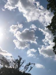 Gambar ikan tenggiri infoikan.com sudah tahu gambar ikan tenggiri kartun? Gambar Awan Yang Cantik 3024x4032 Download Hd Wallpaper Wallpapertip