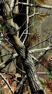 The top realtree camo deer hunting rifles for 2019. Realtree Camo Wallpaper For Iphone